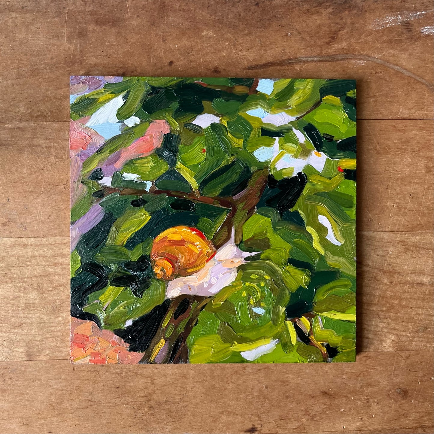 “Come Snail Away” 6x6