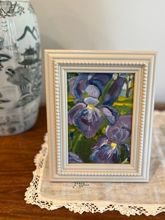 “Irises in the garden” 5x7